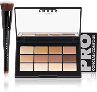 LORAC Pro Conceal/Contour Palette and Brush